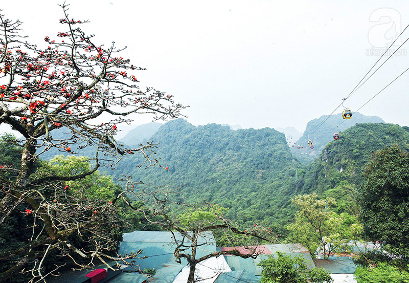 Đi cáp treo, quý khách sẽ được thưởng thức vẻ đẹp tuyệt mỹ của thiên nhiên chùa Hương